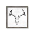 Picture of Cranial Bone ll   _GroupedProduct_Square_Framed_Matted_