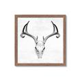 Picture of Cranial Bone ll   _GroupedProduct_Square_Framed_Matted_