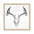 Picture of Cranial Bone ll   _GroupedProduct_Square_Framed_Matted_