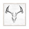Picture of Cranial Bone ll   _GroupedProduct_Square_Framed_Matted_