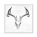 Picture of Cranial Bone ll   _GroupedProduct_Square_Framed_Matted_
