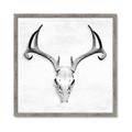 Picture of Cranial Bone ll   _GroupedProduct_Square_Framed_Matted_