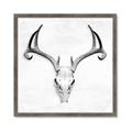 Picture of Cranial Bone ll   _GroupedProduct_Square_Framed_Matted_