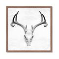 Picture of Cranial Bone ll   _GroupedProduct_Square_Framed_Matted_