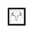 Picture of Cranial Bone ll   _GroupedProduct_Square_Framed_Matted_