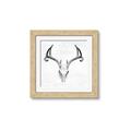 Picture of Cranial Bone ll   _GroupedProduct_Square_Framed_Matted_