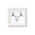 Picture of Cranial Bone ll   _GroupedProduct_Square_Framed_Matted_
