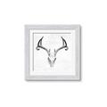 Picture of Cranial Bone ll   _GroupedProduct_Square_Framed_Matted_