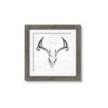 Picture of Cranial Bone ll   _GroupedProduct_Square_Framed_Matted_