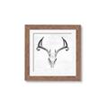 Picture of Cranial Bone ll   _GroupedProduct_Square_Framed_Matted_