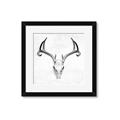 Picture of Cranial Bone ll   _GroupedProduct_Square_Framed_Matted_