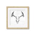 Picture of Cranial Bone ll   _GroupedProduct_Square_Framed_Matted_