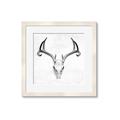 Picture of Cranial Bone ll   _GroupedProduct_Square_Framed_Matted_