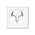 Picture of Cranial Bone ll   _GroupedProduct_Square_Framed_Matted_