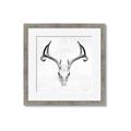 Picture of Cranial Bone ll   _GroupedProduct_Square_Framed_Matted_