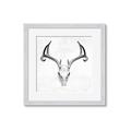 Picture of Cranial Bone ll   _GroupedProduct_Square_Framed_Matted_