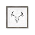 Picture of Cranial Bone ll   _GroupedProduct_Square_Framed_Matted_