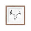 Picture of Cranial Bone ll   _GroupedProduct_Square_Framed_Matted_