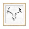 Picture of Cranial Bone ll   _GroupedProduct_Square_Framed_Matted_