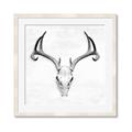 Picture of Cranial Bone ll   _GroupedProduct_Square_Framed_Matted_