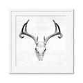Picture of Cranial Bone ll   _GroupedProduct_Square_Framed_Matted_