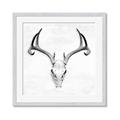 Picture of Cranial Bone ll   _GroupedProduct_Square_Framed_Matted_