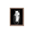 Picture of Friend in Deed _GroupedProduct_Rectangle_Portrait_Photography _GroupedProduct_Rectangle_Portrait_Framed_Matted_