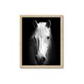Picture of Friend in Deed _GroupedProduct_Rectangle_Portrait_Photography _GroupedProduct_Rectangle_Portrait_Framed_Matted_