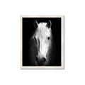 Picture of Friend in Deed _GroupedProduct_Rectangle_Portrait_Photography _GroupedProduct_Rectangle_Portrait_Framed_Matted_
