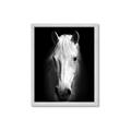 Picture of Friend in Deed _GroupedProduct_Rectangle_Portrait_Photography _GroupedProduct_Rectangle_Portrait_Framed_Matted_