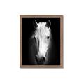 Picture of Friend in Deed _GroupedProduct_Rectangle_Portrait_Photography _GroupedProduct_Rectangle_Portrait_Framed_Matted_