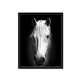 Picture of Friend in Deed _GroupedProduct_Rectangle_Portrait_Photography _GroupedProduct_Rectangle_Portrait_Framed_Matted_