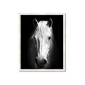 Picture of Friend in Deed _GroupedProduct_Rectangle_Portrait_Photography _GroupedProduct_Rectangle_Portrait_Framed_Matted_