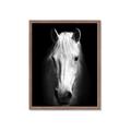 Picture of Friend in Deed _GroupedProduct_Rectangle_Portrait_Photography _GroupedProduct_Rectangle_Portrait_Framed_Matted_