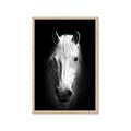Picture of Friend in Deed _GroupedProduct_Rectangle_Portrait_Photography _GroupedProduct_Rectangle_Portrait_Framed_Matted_