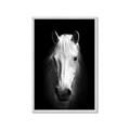 Picture of Friend in Deed _GroupedProduct_Rectangle_Portrait_Photography _GroupedProduct_Rectangle_Portrait_Framed_Matted_