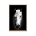 Picture of Friend in Deed _GroupedProduct_Rectangle_Portrait_Photography _GroupedProduct_Rectangle_Portrait_Framed_Matted_