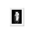 Picture of Friend in Deed _GroupedProduct_Rectangle_Portrait_Photography _GroupedProduct_Rectangle_Portrait_Framed_Matted_