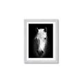 Picture of Friend in Deed _GroupedProduct_Rectangle_Portrait_Photography _GroupedProduct_Rectangle_Portrait_Framed_Matted_