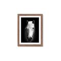 Picture of Friend in Deed _GroupedProduct_Rectangle_Portrait_Photography _GroupedProduct_Rectangle_Portrait_Framed_Matted_