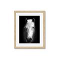 Picture of Friend in Deed _GroupedProduct_Rectangle_Portrait_Photography _GroupedProduct_Rectangle_Portrait_Framed_Matted_