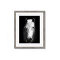 Picture of Friend in Deed _GroupedProduct_Rectangle_Portrait_Photography _GroupedProduct_Rectangle_Portrait_Framed_Matted_