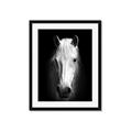 Picture of Friend in Deed _GroupedProduct_Rectangle_Portrait_Photography _GroupedProduct_Rectangle_Portrait_Framed_Matted_