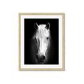 Picture of Friend in Deed _GroupedProduct_Rectangle_Portrait_Photography _GroupedProduct_Rectangle_Portrait_Framed_Matted_