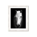 Picture of Friend in Deed _GroupedProduct_Rectangle_Portrait_Photography _GroupedProduct_Rectangle_Portrait_Framed_Matted_