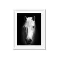 Picture of Friend in Deed _GroupedProduct_Rectangle_Portrait_Photography _GroupedProduct_Rectangle_Portrait_Framed_Matted_