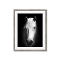 Picture of Friend in Deed _GroupedProduct_Rectangle_Portrait_Photography _GroupedProduct_Rectangle_Portrait_Framed_Matted_