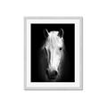 Picture of Friend in Deed _GroupedProduct_Rectangle_Portrait_Photography _GroupedProduct_Rectangle_Portrait_Framed_Matted_