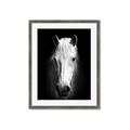 Picture of Friend in Deed _GroupedProduct_Rectangle_Portrait_Photography _GroupedProduct_Rectangle_Portrait_Framed_Matted_