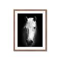 Picture of Friend in Deed _GroupedProduct_Rectangle_Portrait_Photography _GroupedProduct_Rectangle_Portrait_Framed_Matted_